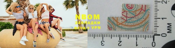 прущие грибы Дрезна