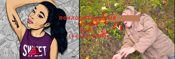 2c-b Дубна