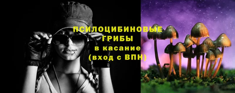 Псилоцибиновые грибы MAGIC MUSHROOMS  Сим 